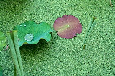 《深渊恐惧》4月18日Steam上线！深海与黑暗才是最大的敌人